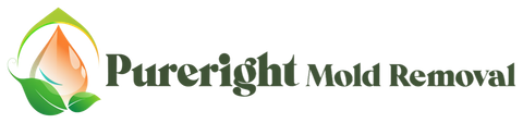 Pureright Mold Removal